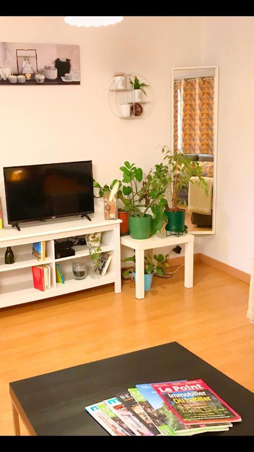 Appartement En Plein Centre Ville Apt Εξωτερικό φωτογραφία